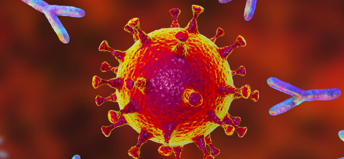 ANTICUERPOS ANTI-SARS-COV-2
